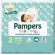 Pampers bd downcount mini 24pz