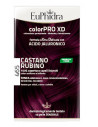 Euphidra colorpro xd465 castano rubino