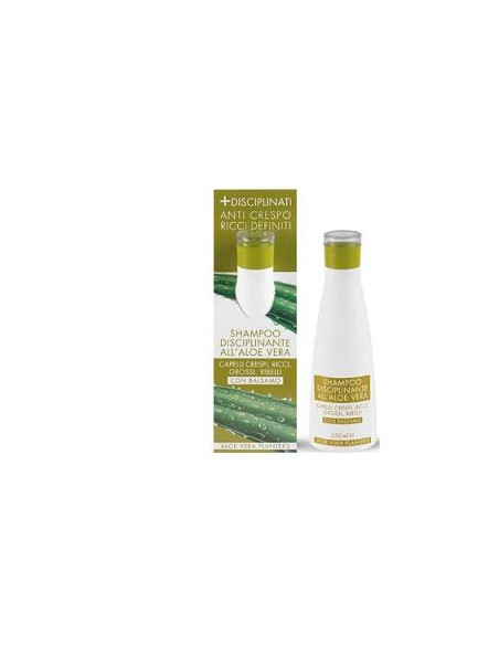Planter s aloe sh disciplinant