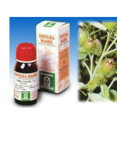 Bardana 50ml tm