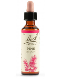 Pine fiori di bach original 20ml