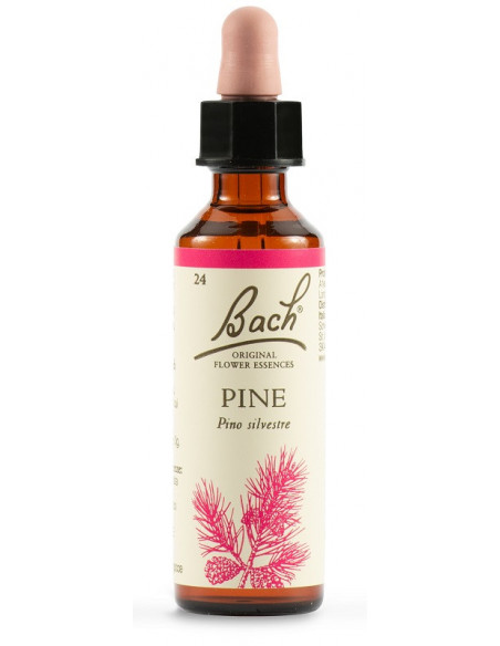 Pine fiori di bach original 20ml
