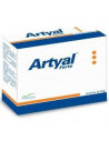 Artyal forte 20bust