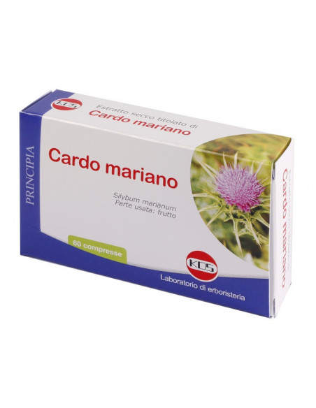Cardo mariano es 60cpr