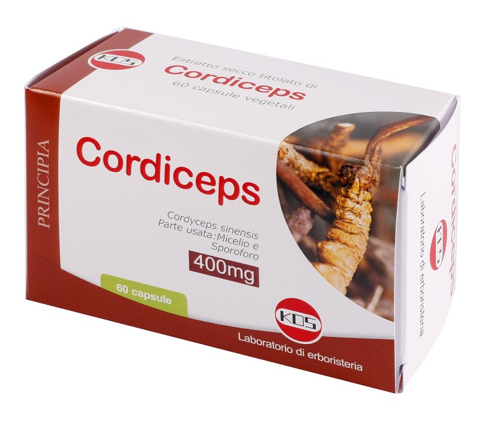 Cordiceps estratto secco 60cps