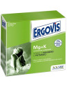 Ergovis mg piu k 20 bustine 10g