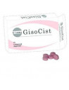 Gisocist 15cpr deglutibili