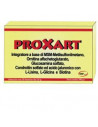 Proxart smp 20bust