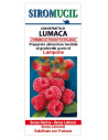 Siromucil c estr lumaca lamp