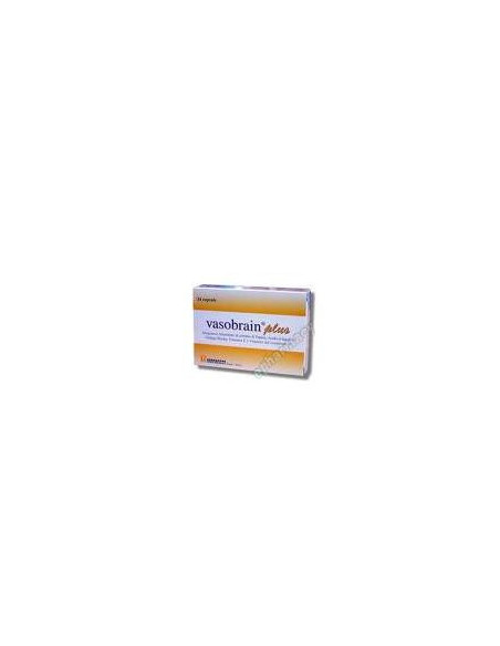 Vasobrain plus 24 capsule