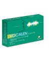 Vocalen 20cps