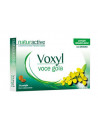 Voxyl voce gola 24past