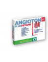 Angioton plus retard 30cpr