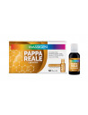Marco viti massigen pappa reale 10flaconcini 25ml