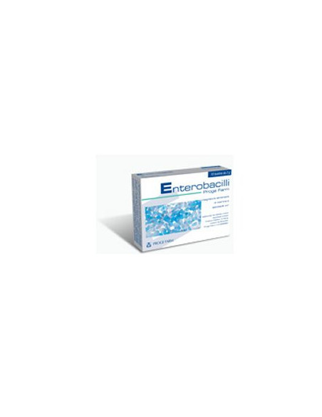 Enterobacilli 10bust