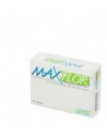 Maxiflor 20bust