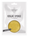 Fde konjac sponge curcuma viso 1 pezzo