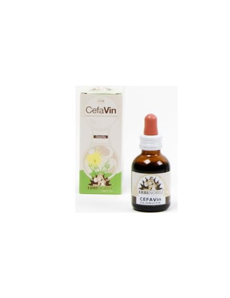 Cefavin olosvita 50ml