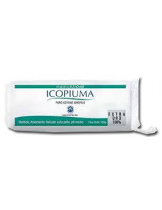 Icopiuma cotone ex india 250g