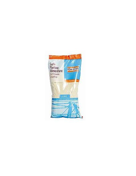 Sale atlantico grezzo fine 1kg