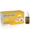 Vitalmix pappa reale 10flx10ml