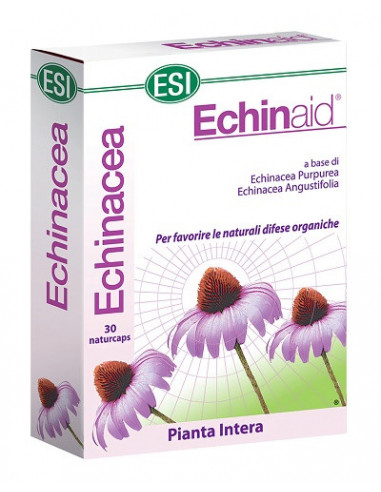 Echinaid alta potenza 30cps