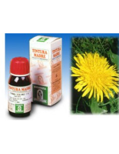 Tarassaco tm 50ml specchiasol