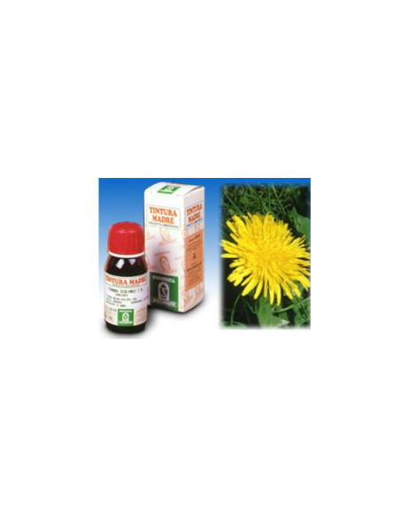 Tarassaco tm 50ml specchiasol