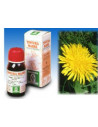 Tarassaco tm 50ml specchiasol
