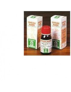Erysimum off 50ml tm specchias