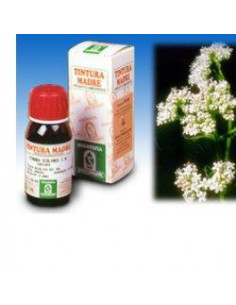 VALERIANA TM 50ML GOCCE SPECCHIA