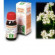 Valeriana tm 50ml gocce
