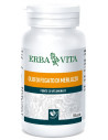 Olio fegato merl 100p 453mg er