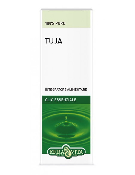 Thuya olio ess 10ml fl erbavi