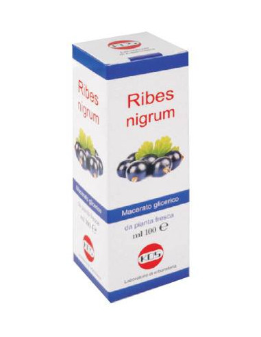 Ribes nigrum mg 100ml gtt