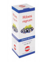 Ribes nigrum mg 100ml gocce