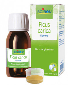Bo.ficus carica 1dh gocce 60ml i