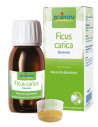 Bo.ficus carica 1dh gocce 60ml i
