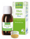 Bo.ribes nigrum mg 60ml int