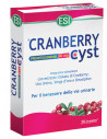 Cranberry cyst 30 ovalette