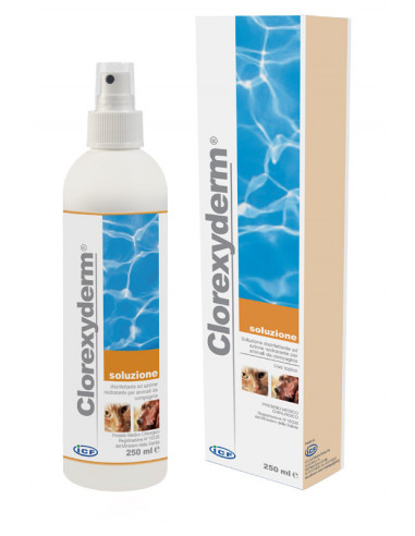 Clorexyderm soluzione spray disinfettante 200ml