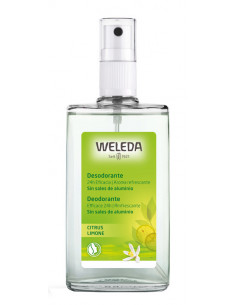Deodorante spray limone 100ml
