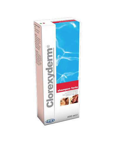 CLOREXYDERM SHAMPOO FORTE ALLA CLOREXIDINA 200ML