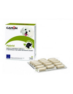 Hybrid 30 compresse