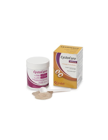Cystocure forte 30g