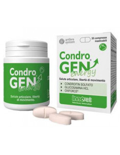 Condrogen energy 30cpr mastic