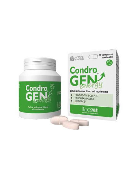 Condrogen energy 60cpr mastic