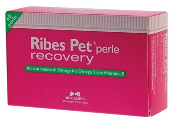 Ribes pet recovery 60perle per la perdita di pelo