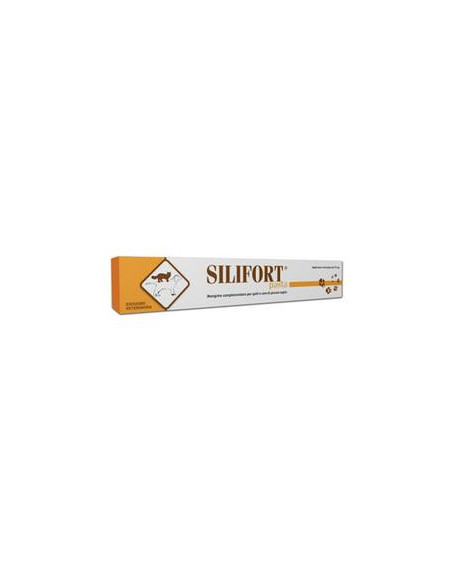 Silifort pasta os siringa 30g