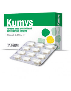 Kumys fermenti lattici 20opr